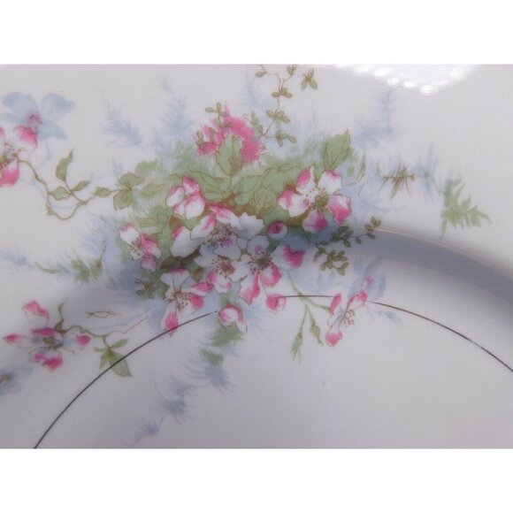 Theodore Haviland Apple Blossom Plates Set of 4 – 10" Dinner China USA - Picture 2 of 8